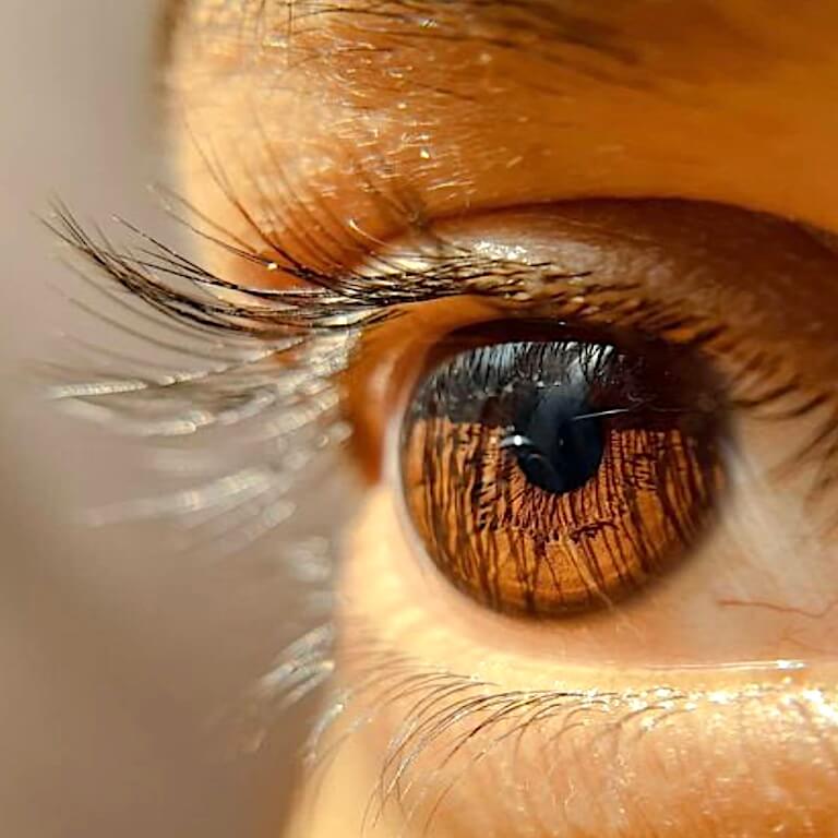 Аккомодация глаза